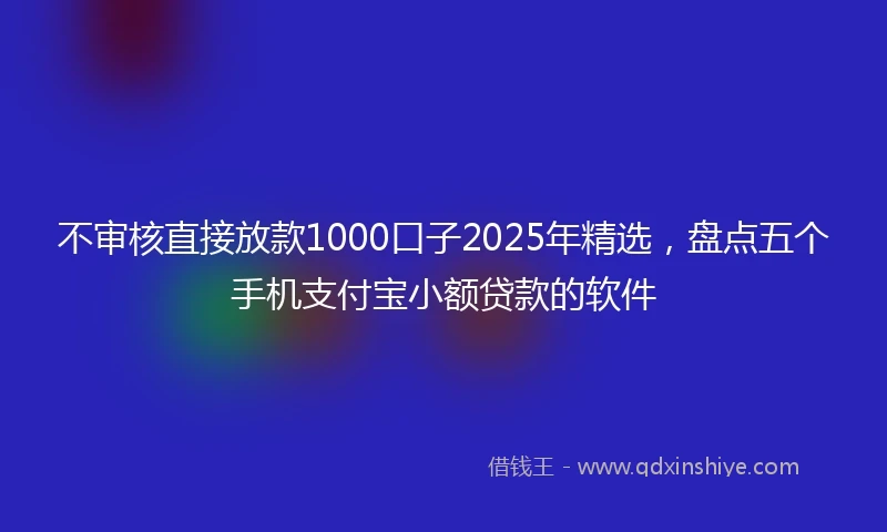 不审核直接放款1000口子2025年精选，盘点五个手机支付宝小额贷款的软件