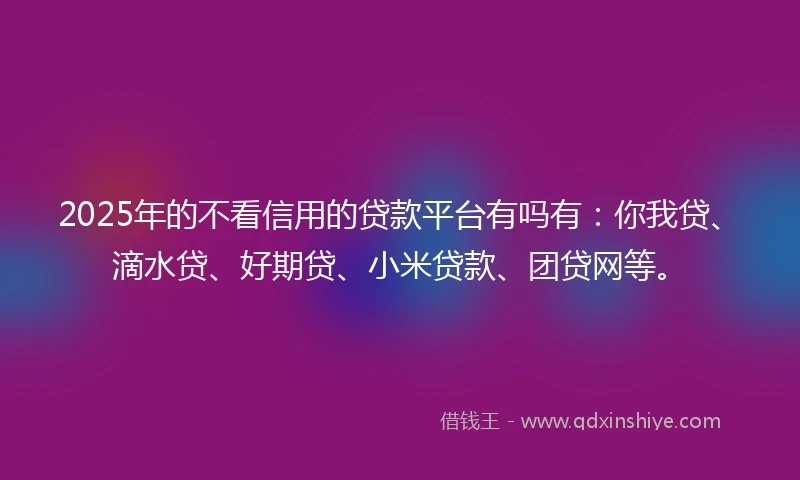 2025年的不看信用的贷款平台有吗有：你我贷、滴水贷、好期贷、小米贷款、团贷网等。