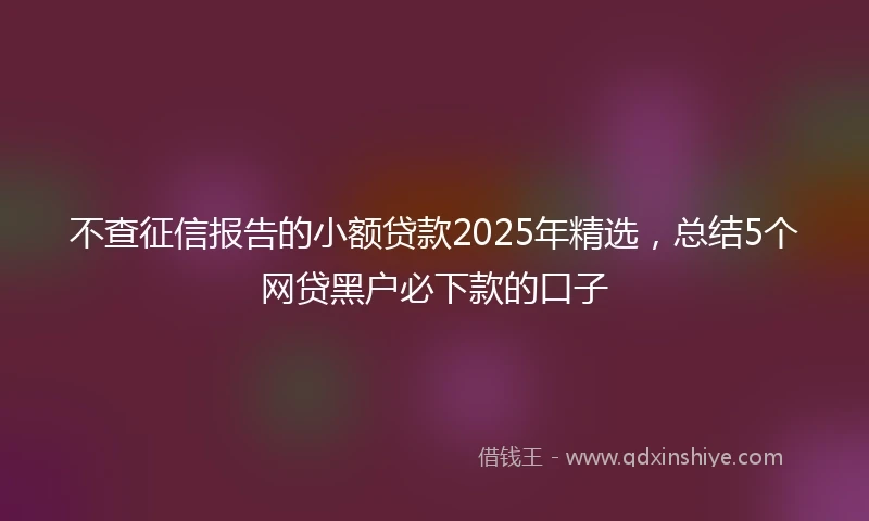 不查征信报告的小额贷款2025年精选，总结5个网贷黑户必下款的口子
