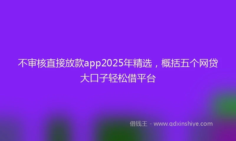 不审核直接放款app2025年精选，概括五个网贷大口子轻松借平台