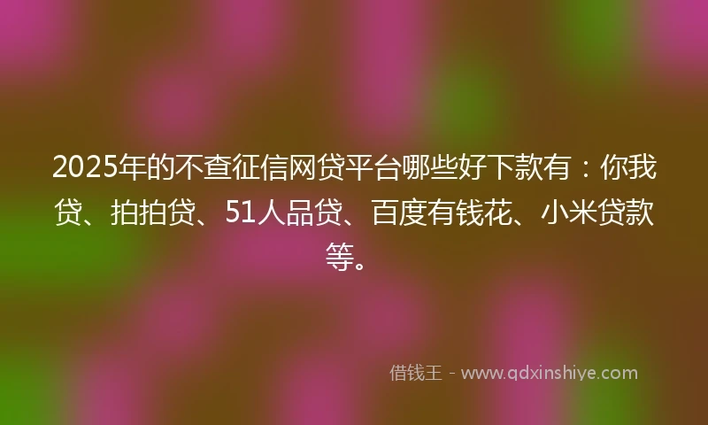 2025年的不查征信网贷平台哪些好下款有：你我贷、拍拍贷、51人品贷、百度有钱花、小米贷款等。