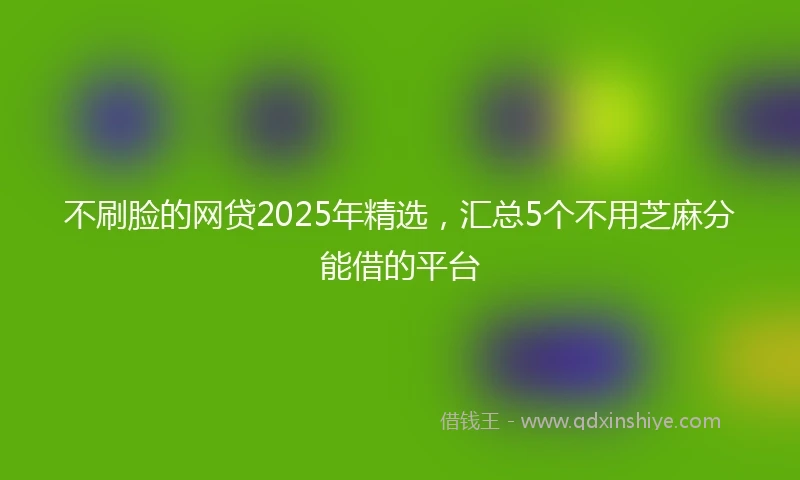 不刷脸的网贷2025年精选，汇总5个不用芝麻分能借的平台