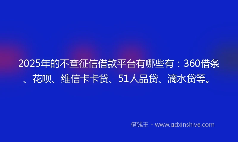 2025年的不查征信借款平台有哪些有：360借条、花呗、维信卡卡贷、51人品贷、滴水贷等。