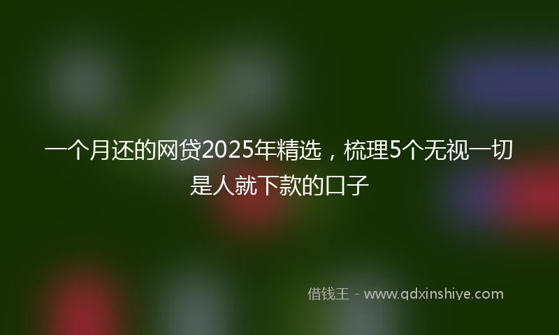 一个月还的网贷2025年精选，梳理5个无视一切是人就下款的口子