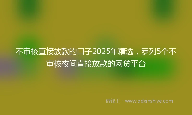不审核直接放款的口子2025年精选，罗列5个不审核夜间直接放款的网贷平台