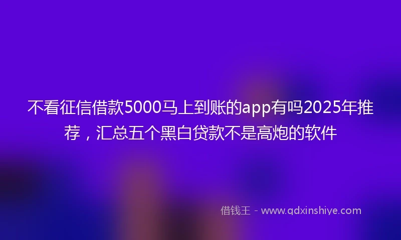 不看征信借款5000马上到账的app有吗2025年推荐，汇总五个黑白贷款不是高炮的软件