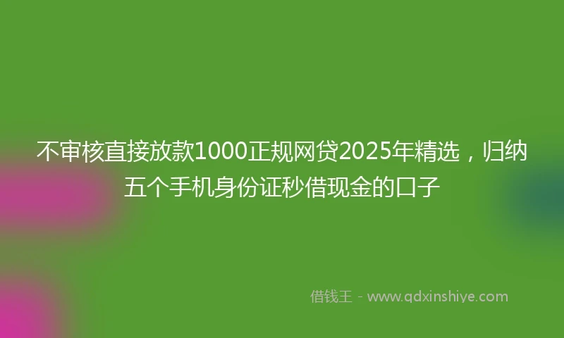 不审核直接放款1000正规网贷2025年精选，归纳五个手机身份证秒借现金的口子