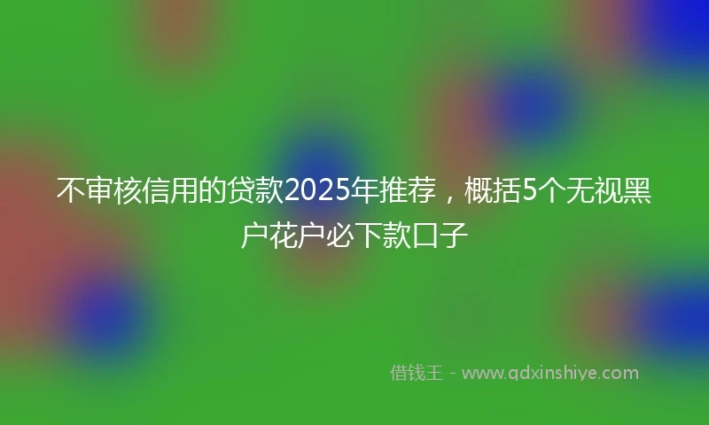 不审核信用的贷款2025年推荐，概括5个无视黑户花户必下款口子