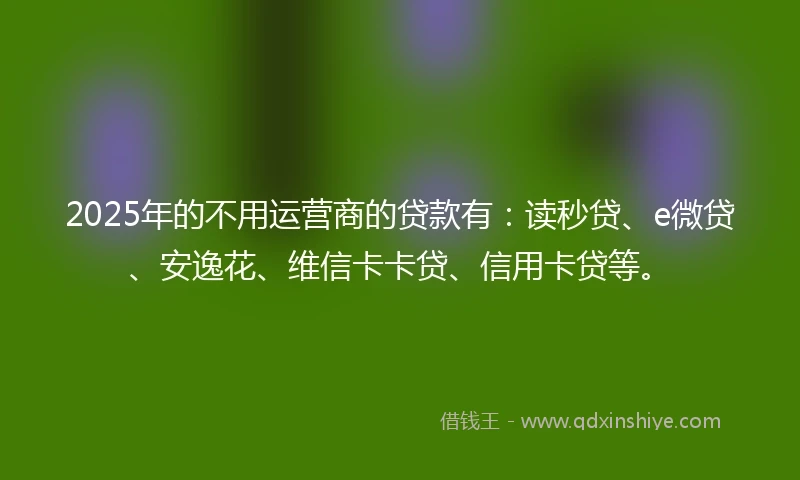 2025年的不用运营商的贷款有：读秒贷、e微贷、安逸花、维信卡卡贷、信用卡贷等。