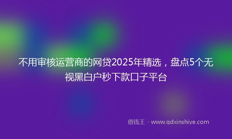 不用审核运营商的网贷2025年精选，盘点5个无视黑白户秒下款口子平台