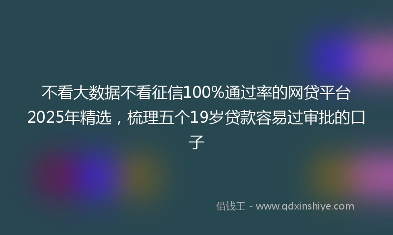 不看大数据不看征信100%通过率的网贷平台2025年精选，梳理五个19岁贷款容易过审批的口子