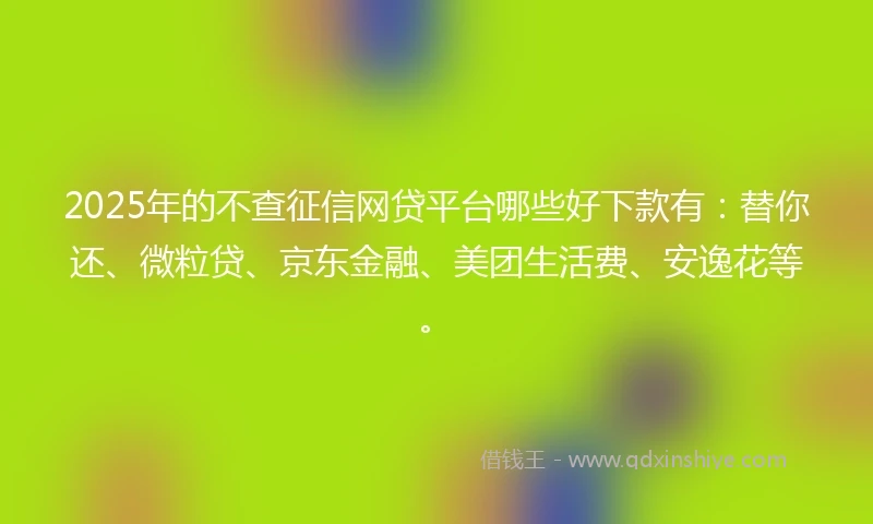 2025年的不查征信网贷平台哪些好下款有：替你还、微粒贷、京东金融、美团生活费、安逸花等。