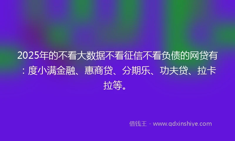 2025年的不看大数据不看征信不看负债的网贷有：度小满金融、惠商贷、分期乐、功夫贷、拉卡拉等。