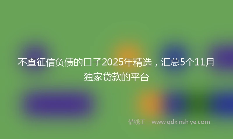 不查征信负债的口子2025年精选，汇总5个11月独家贷款的平台