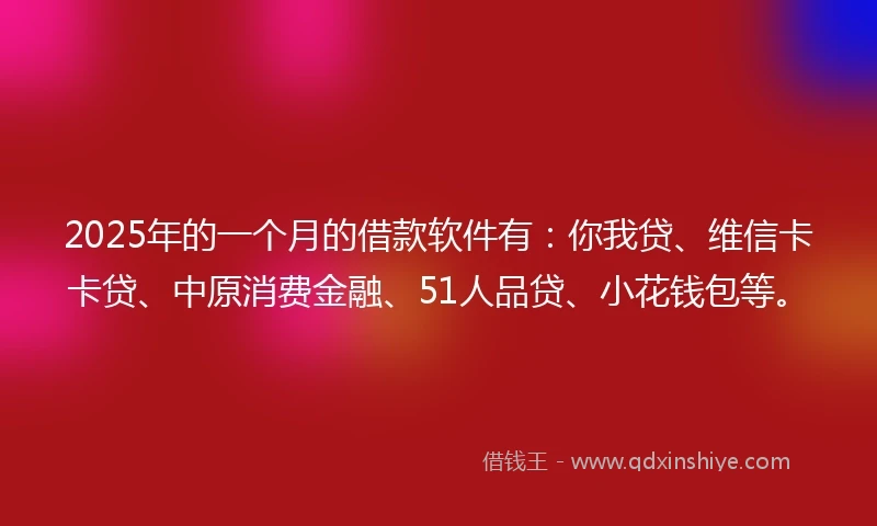 2025年的一个月的借款软件有：你我贷、维信卡卡贷、中原消费金融、51人品贷、小花钱包等。