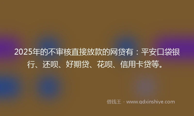 2025年的不审核直接放款的网贷有：平安口袋银行、还呗、好期贷、花呗、信用卡贷等。