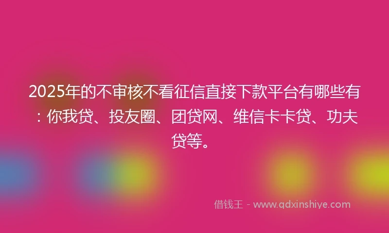 2025年的不审核不看征信直接下款平台有哪些有:你我贷、投友圈、团贷网、维信卡卡贷、功夫贷等。