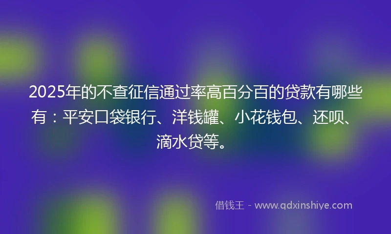 2025年的不查征信通过率高百分百的贷款有哪些有：平安口袋银行、洋钱罐、小花钱包、还呗、滴水贷等。