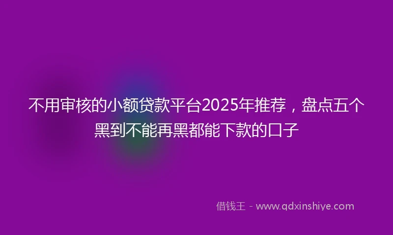 不用审核的小额贷款平台2025年推荐，盘点五个黑到不能再黑都能下款的口子