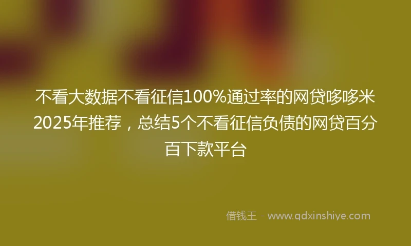 不看大数据不看征信100%通过率的网贷哆哆米2025年推荐，总结5个不看征信负债的网贷百分百下款平台