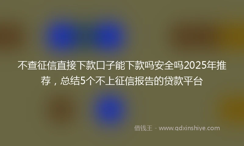 不查征信直接下款口子能下款吗安全吗2025年推荐，总结5个不上征信报告的贷款平台