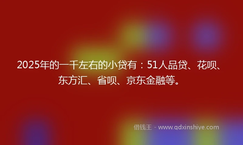 2025年的一千左右的小贷有：51人品贷、花呗、东方汇、省呗、京东金融等。