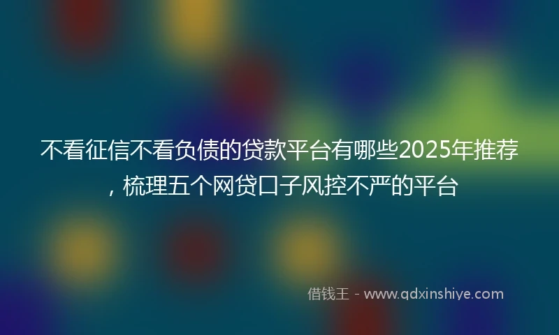 不看征信不看负债的贷款平台有哪些2025年推荐，梳理五个网贷口子风控不严的平台