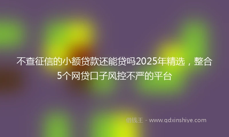 不查征信的小额贷款还能贷吗2025年精选，整合5个网贷口子风控不严的平台