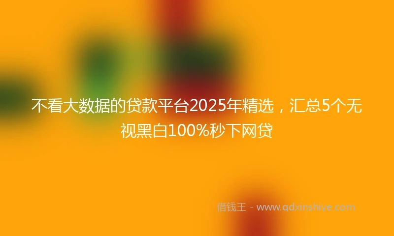 不看大数据的贷款平台2025年精选，汇总5个无视黑白100%秒下网贷
