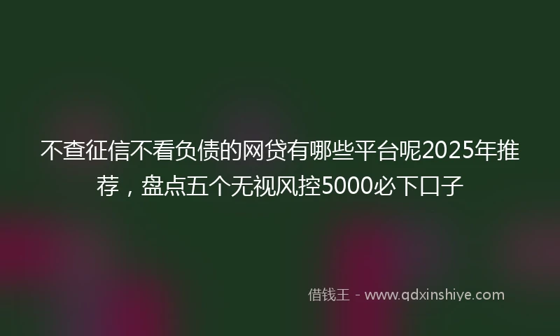 不查征信不看负债的网贷有哪些平台呢2025年推荐,盘点五个无视风控5000必下口子
