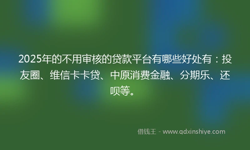 2025年的不用审核的贷款平台有哪些好处有：投友圈、维信卡卡贷、中原消费金融、分期乐、还呗等。