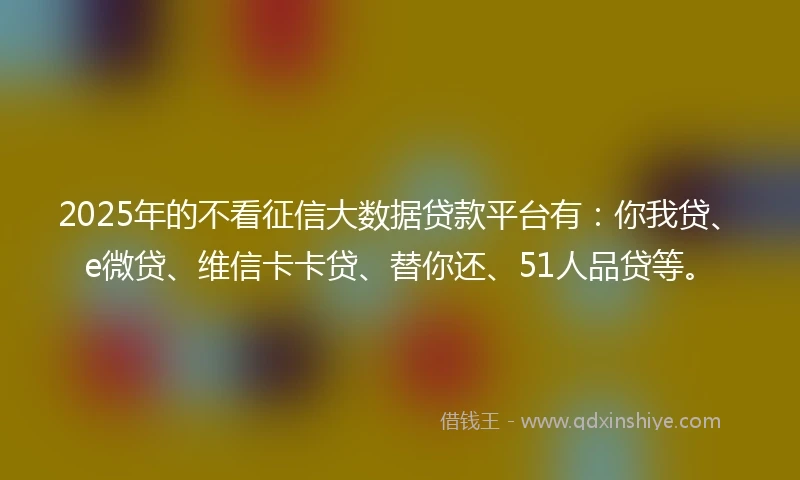 2025年的不看征信大数据贷款平台有：你我贷、e微贷、维信卡卡贷、替你还、51人品贷等。