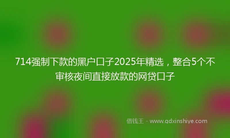 714强制下款的黑户口子2025年精选,整合5个不审核夜间直接放款的网贷口子