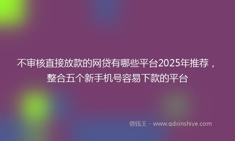 不审核直接放款的网贷有哪些平台2025年推荐，整合五个新手机号容易下款的平台