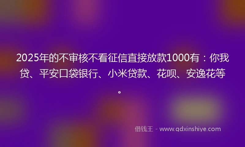 2025年的不审核不看征信直接放款1000有：你我贷、平安口袋银行、小米贷款、花呗、安逸花等。