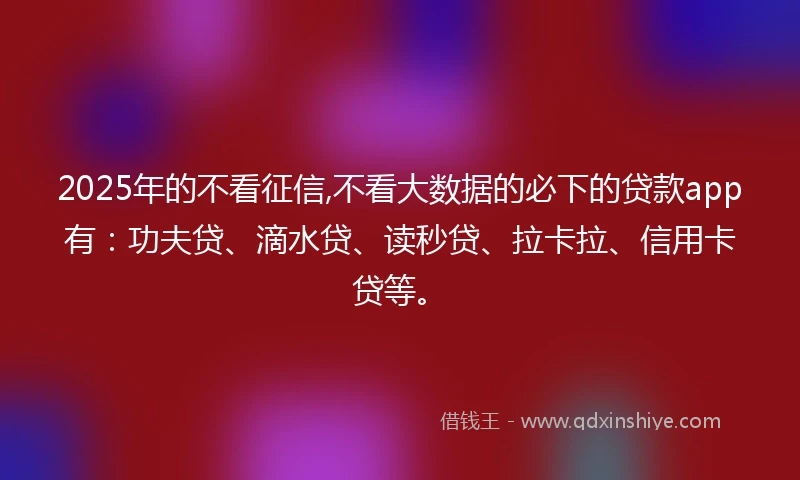 2025年的不看征信,不看大数据的必下的贷款app有：功夫贷、滴水贷、读秒贷、拉卡拉、信用卡贷等。
