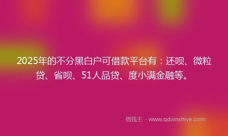 2025年的不分黑白户可借款平台有：还呗、微粒贷、省呗、51人品贷、度小满金融等。