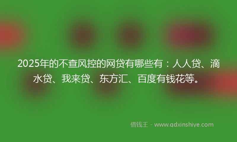 2025年的不查风控的网贷有哪些有：人人贷、滴水贷、我来贷、东方汇、百度有钱花等。