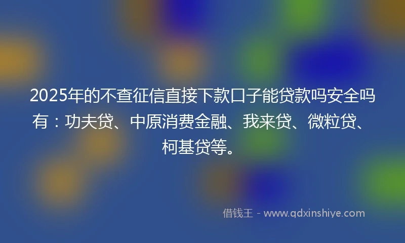 2025年的不查征信直接下款口子能贷款吗安全吗有：功夫贷、中原消费金融、我来贷、微粒贷、柯基贷等。