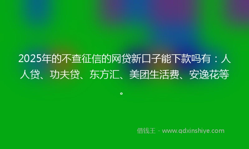 2025年的不查征信的网贷新口子能下款吗有：人人贷、功夫贷、东方汇、美团生活费、安逸花等。