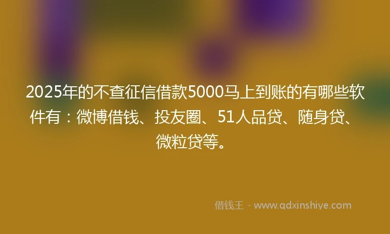 2025年的不查征信借款5000马上到账的有哪些软件有：微博借钱、投友圈、51人品贷、随身贷、微粒贷等。