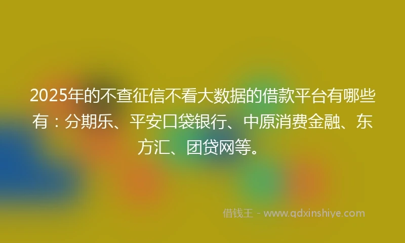 2025年的不查征信不看大数据的借款平台有哪些有：分期乐、平安口袋银行、中原消费金融、东方汇、团贷网等。
