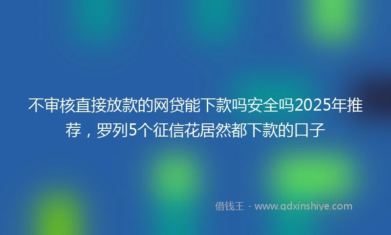 不审核直接放款的网贷能下款吗安全吗2025年推荐，罗列5个征信花居然都下款的口子