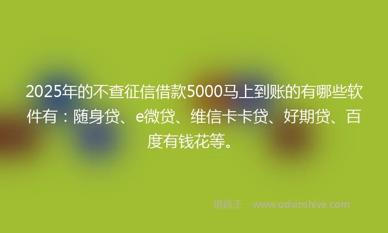 2025年的不查征信借款5000马上到账的有哪些软件有：随身贷、e微贷、维信卡卡贷、好期贷、百度有钱花等。