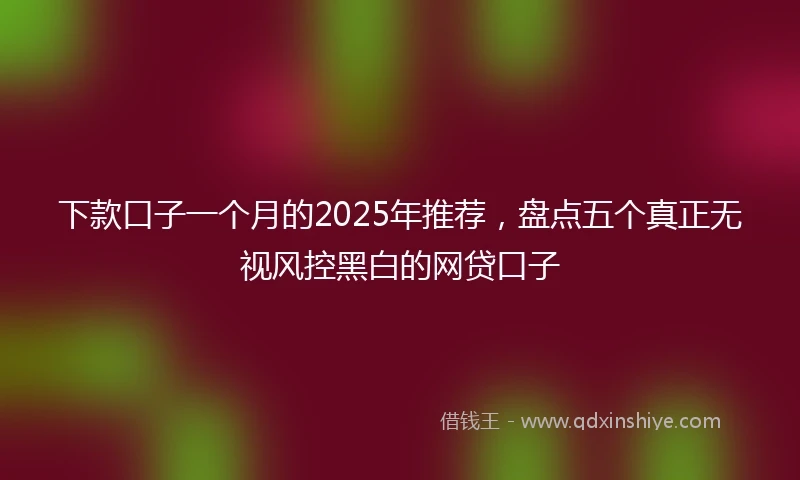 下款口子一个月的2025年推荐，盘点五个真正无视风控黑白的网贷口子