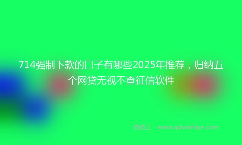714强制下款的口子有哪些2025年推荐，归纳五个网贷无视不查征信软件