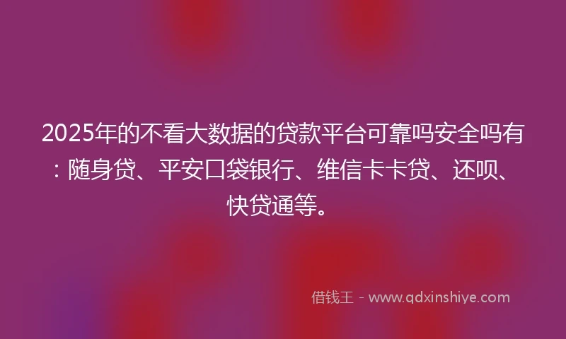 2025年的不看大数据的贷款平台可靠吗安全吗有：随身贷、平安口袋银行、维信卡卡贷、还呗、快贷通等。