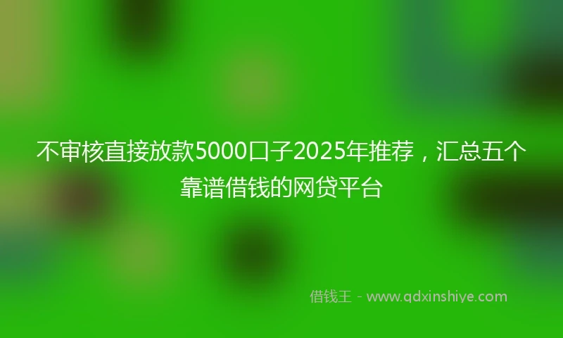 不审核直接放款5000口子2025年推荐，汇总五个靠谱借钱的网贷平台