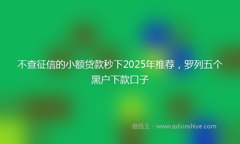 不查征信的小额贷款秒下2025年推荐，罗列五个黑户下款口子