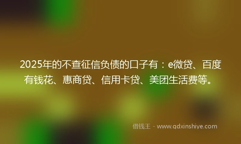 2025年的不查征信负债的口子有：e微贷、百度有钱花、惠商贷、信用卡贷、美团生活费等。